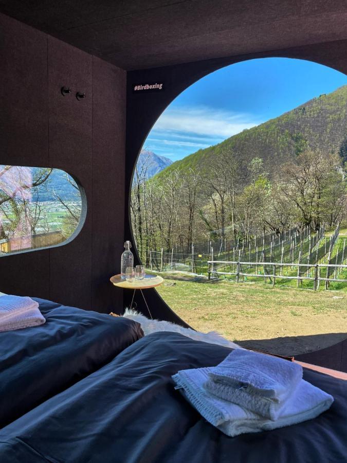 Birdbox Curzutt Monte Carasso Exterior foto