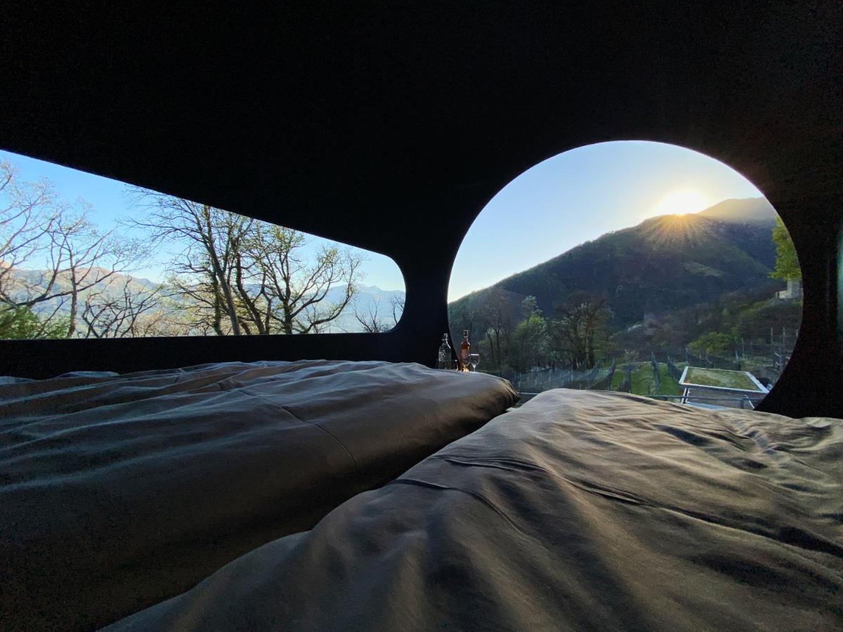 Birdbox Curzutt Monte Carasso Exterior foto