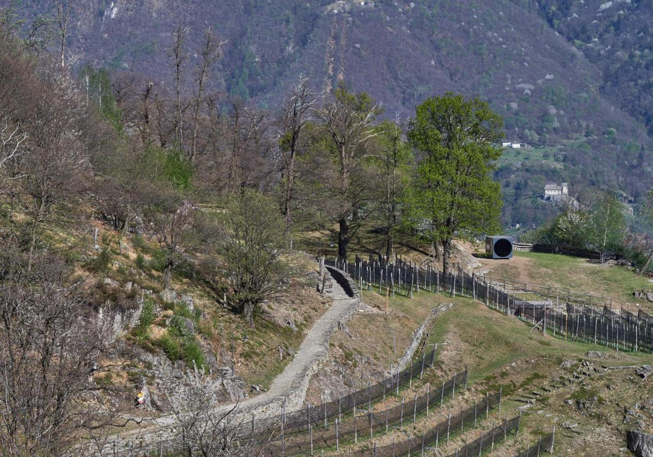 Birdbox Curzutt Monte Carasso Exterior foto