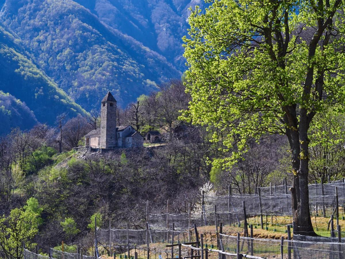 Birdbox Curzutt Monte Carasso Exterior foto
