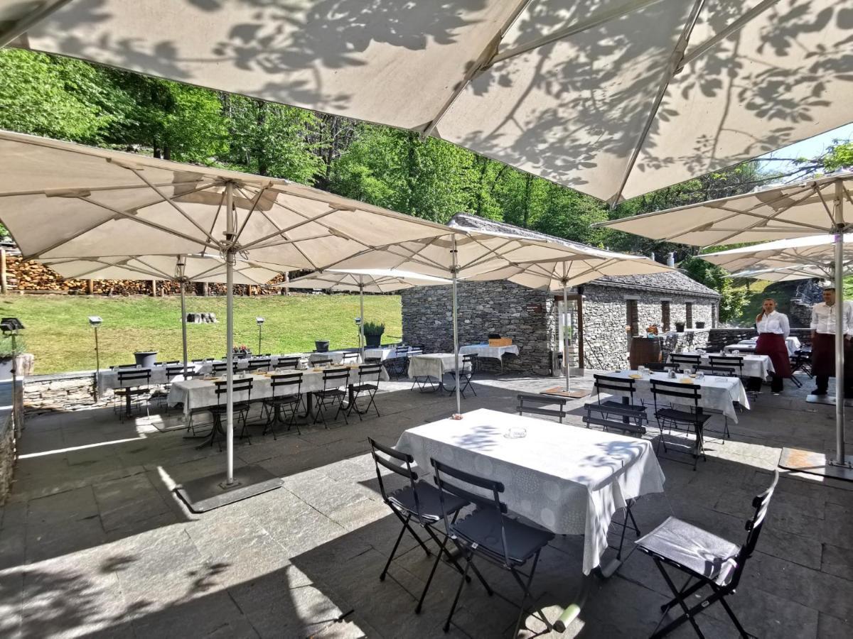 Birdbox Curzutt Monte Carasso Exterior foto